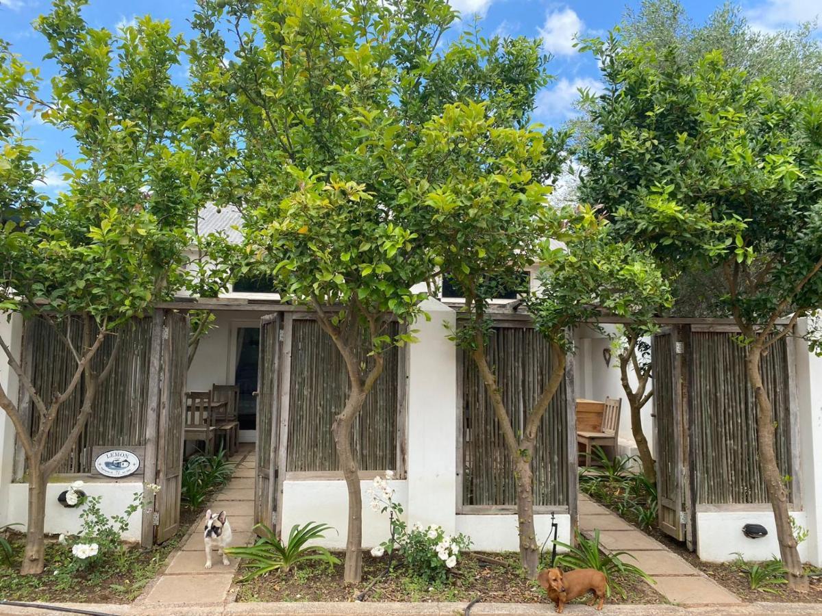 Galileo Farm Villa เอลกิน ภายนอก รูปภาพ
