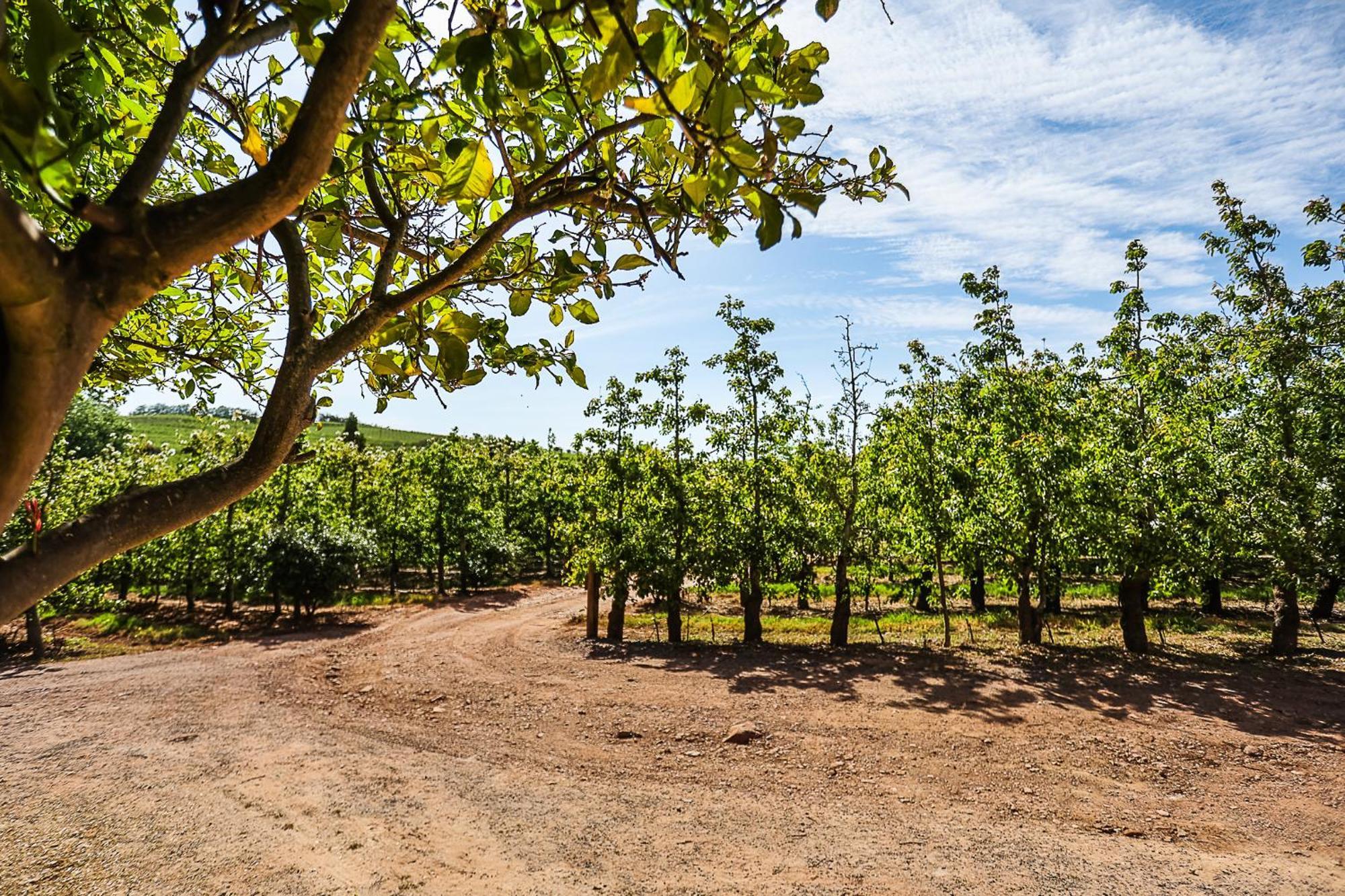 Galileo Farm Villa เอลกิน ภายนอก รูปภาพ