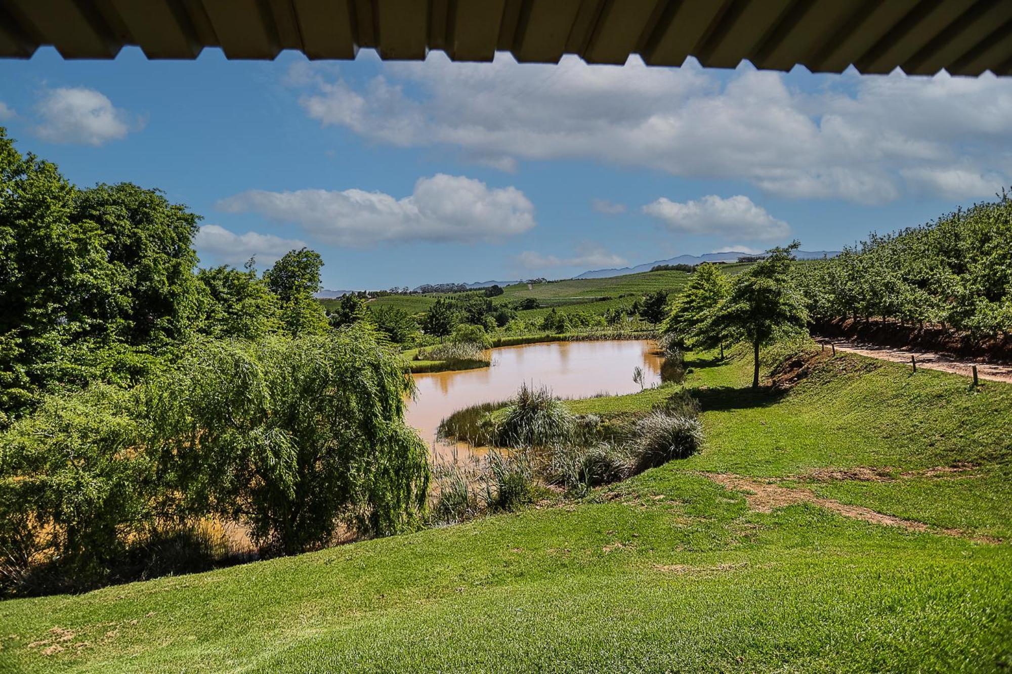 Galileo Farm Villa เอลกิน ห้อง รูปภาพ